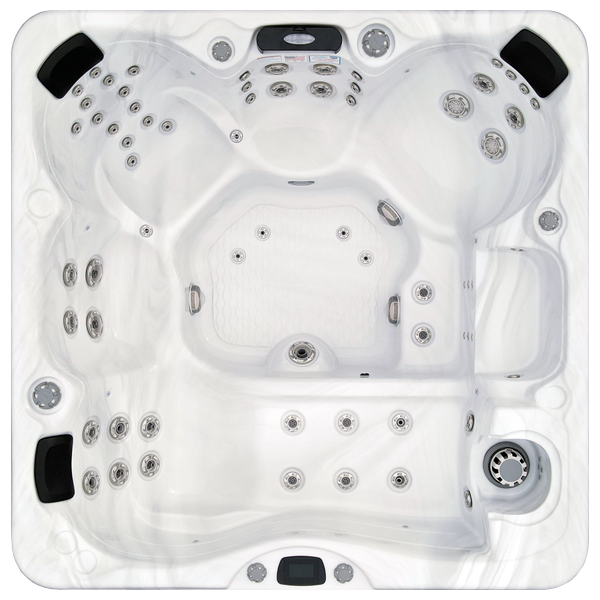 Avalon-X EC-867LX hot tubs for sale in Bemus Point