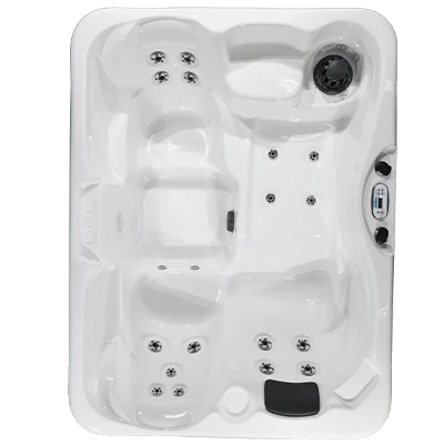 Kona PZ-519L hot tubs for sale in Bemus Point