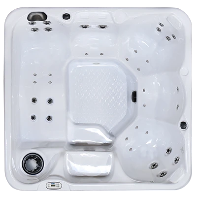Hawaiian PZ-636L hot tubs for sale in Bemus Point